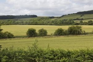Guisborough - Mark Davis Photography